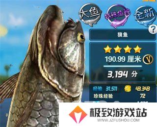 钓鱼发烧友新手怎么玩 钓鱼发烧友新手攻略详解