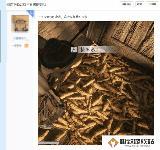本站